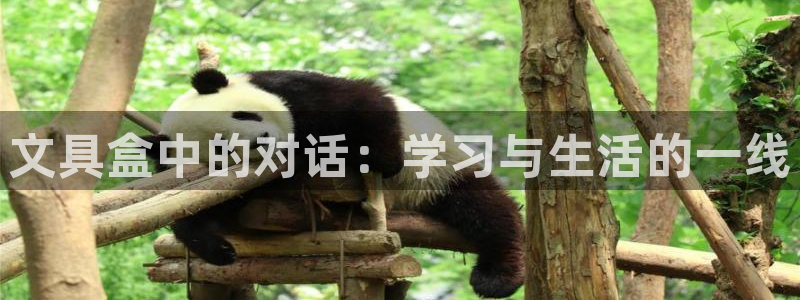 j9九游会国际：文具盒中的对话：学习与生