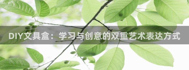 pt九游会：DIY文具盒：学习与创意的双