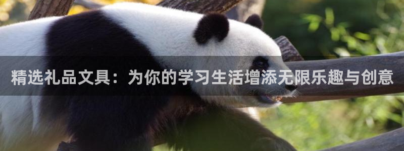 ag九游会网址：精选礼品文具：为你的学习