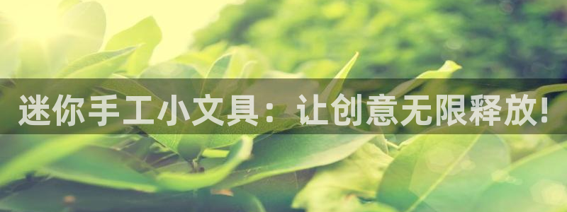 AG九游会官方登录网址：迷你手工小文具：