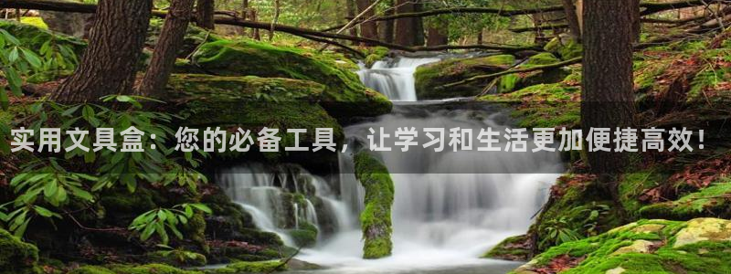 九游会公司介绍：实用文具盒：您的必备工具