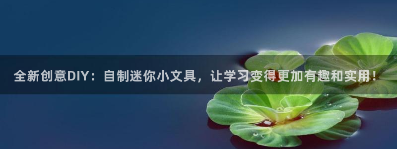 九游会全站官网链接：全新创意DIY：自制