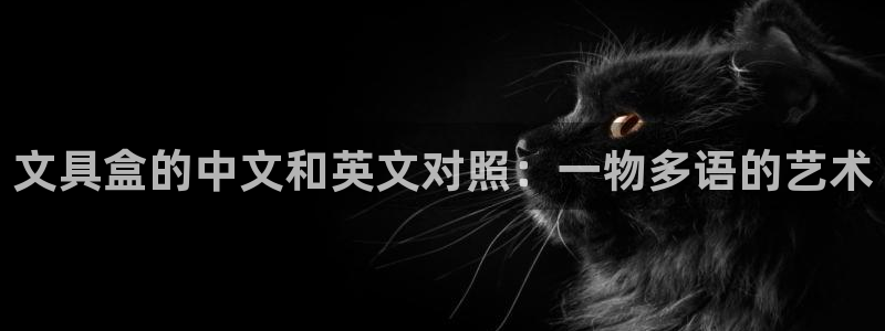 AG九游会官方登录网址：文具盒的中文和英