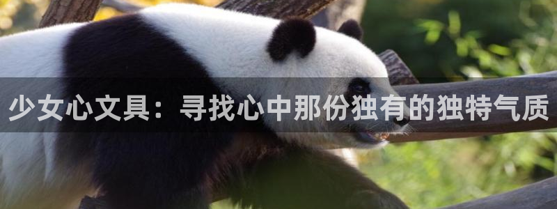 九游会亚洲游戏：少女心文具：寻找心中那份