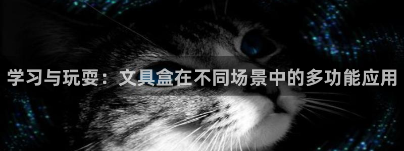 九游会怎么登录：学习与玩耍：文具盒在不同