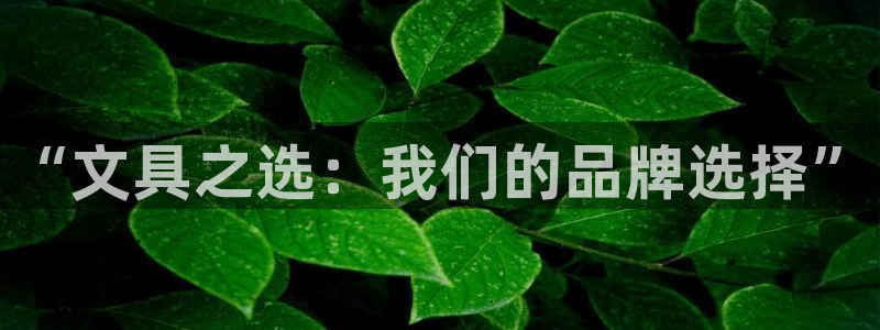 九游会杀猪：“文具之选：我们的品牌选择”