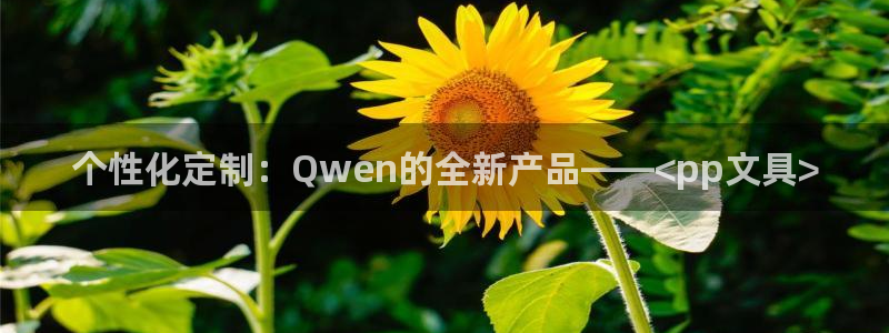 九游会j9官网ag：个性化定制：Qwen