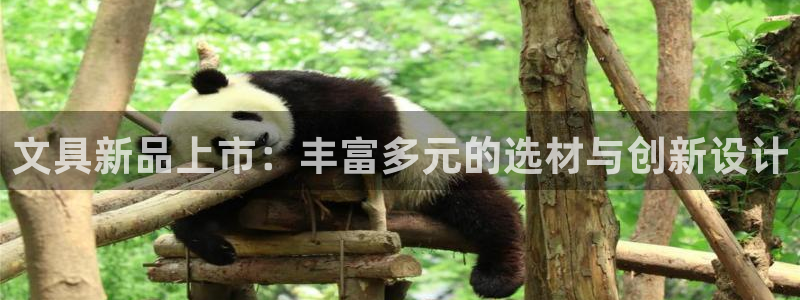 九游会官网在线登录：文具新品上市：丰富多