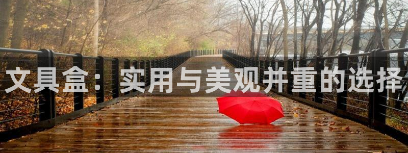 九游会视讯：文具盒：实用与美观并重的选择