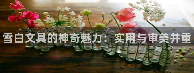 九游会体育官方：雪白文具的神奇魅力：实用