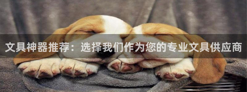 九游会登录不了游戏吗：文具神器推荐：选择