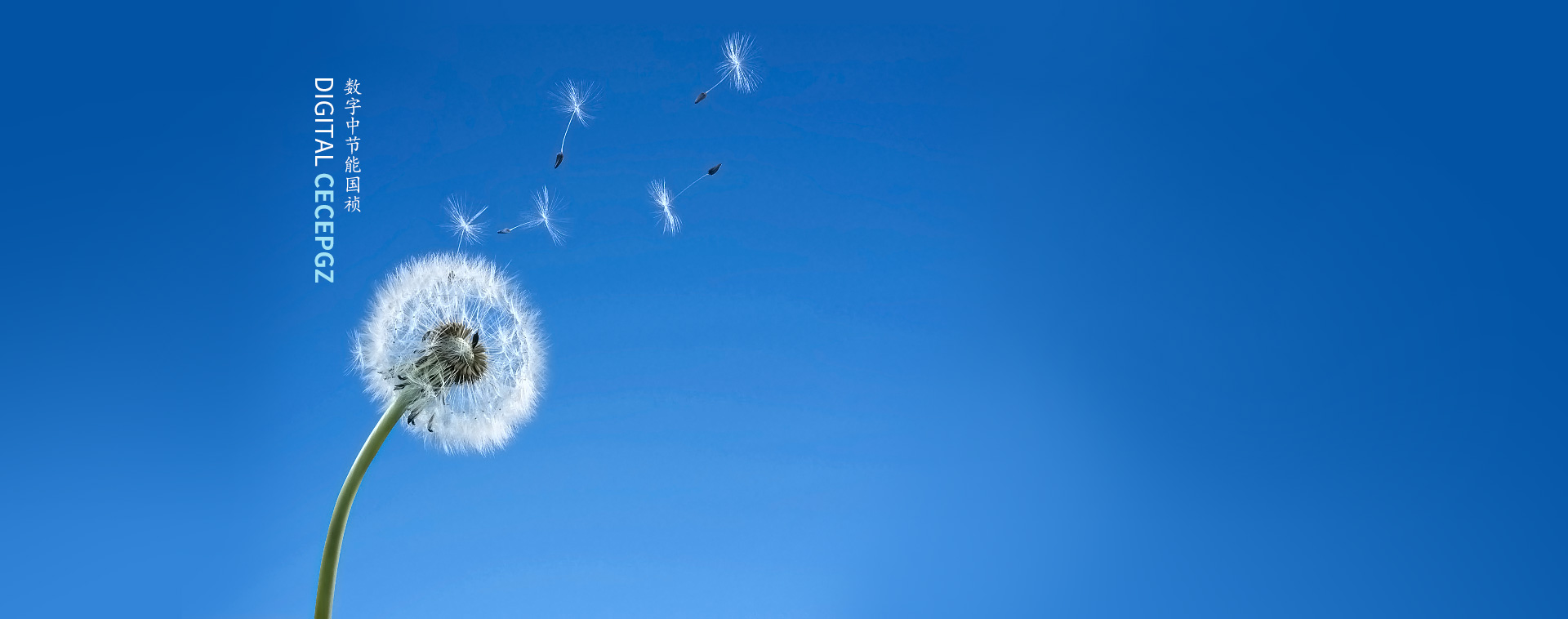 腾博诚信为本环保？？？？？？萍脊煞萦邢薰