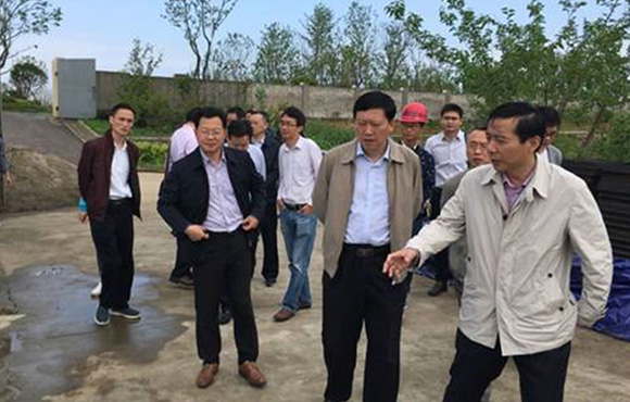 怀化市副市长王纲根一行视察怀化市黑砂河道域水系治理工程