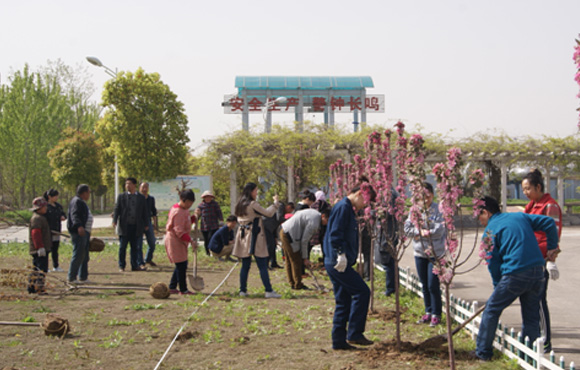 南阳国祯发展植树活动