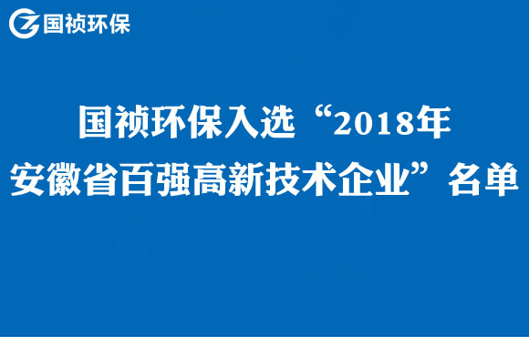 国祯环保入选“2018年安徽省百强高新技术企业”名单