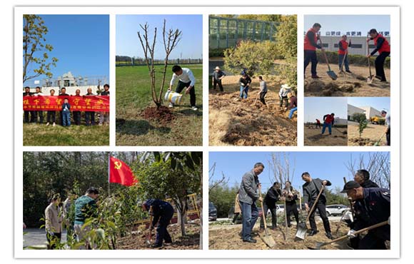 腾博诚信为本发展3·12植树系列活动