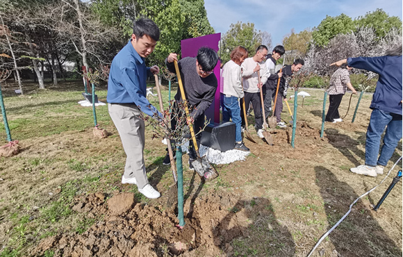 植新树，，，，，，共筑梦丨腾博诚信为本发展系列主题植树活动