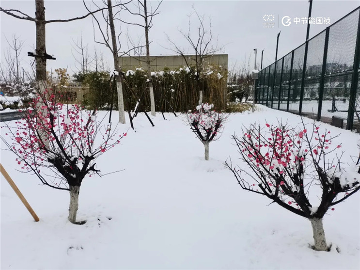 腾博官网-诚信为本,专业服务!