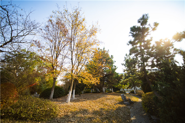 腾博官网-诚信为本,专业服务!