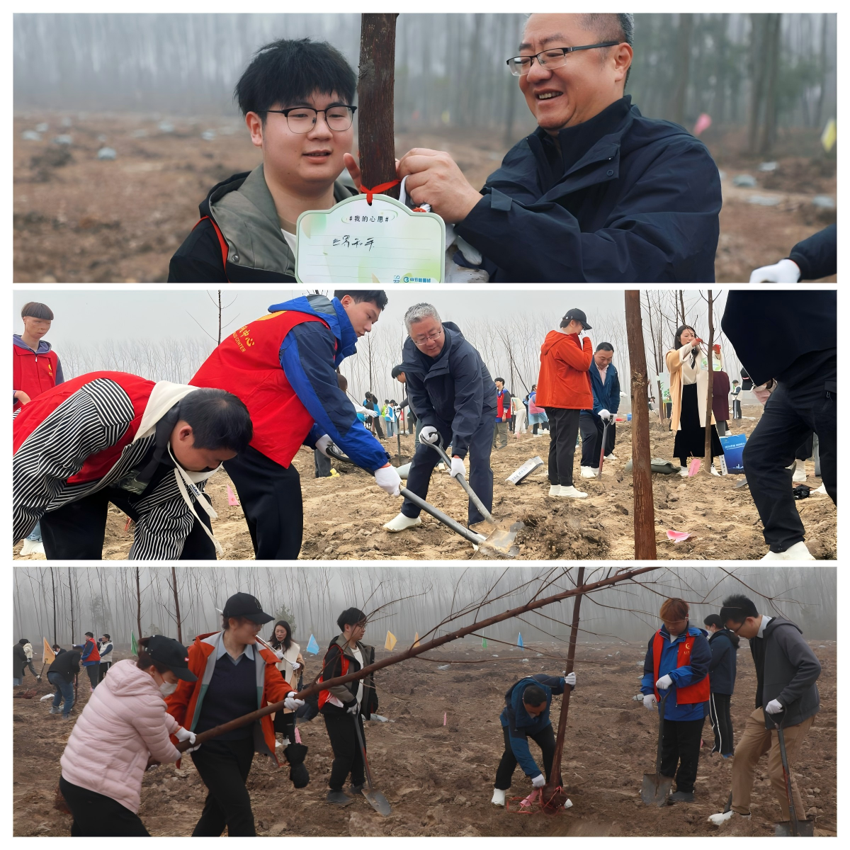 腾博官网-诚信为本,专业服务!