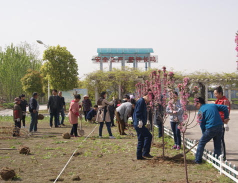 腾博官网-诚信为本,专业服务!